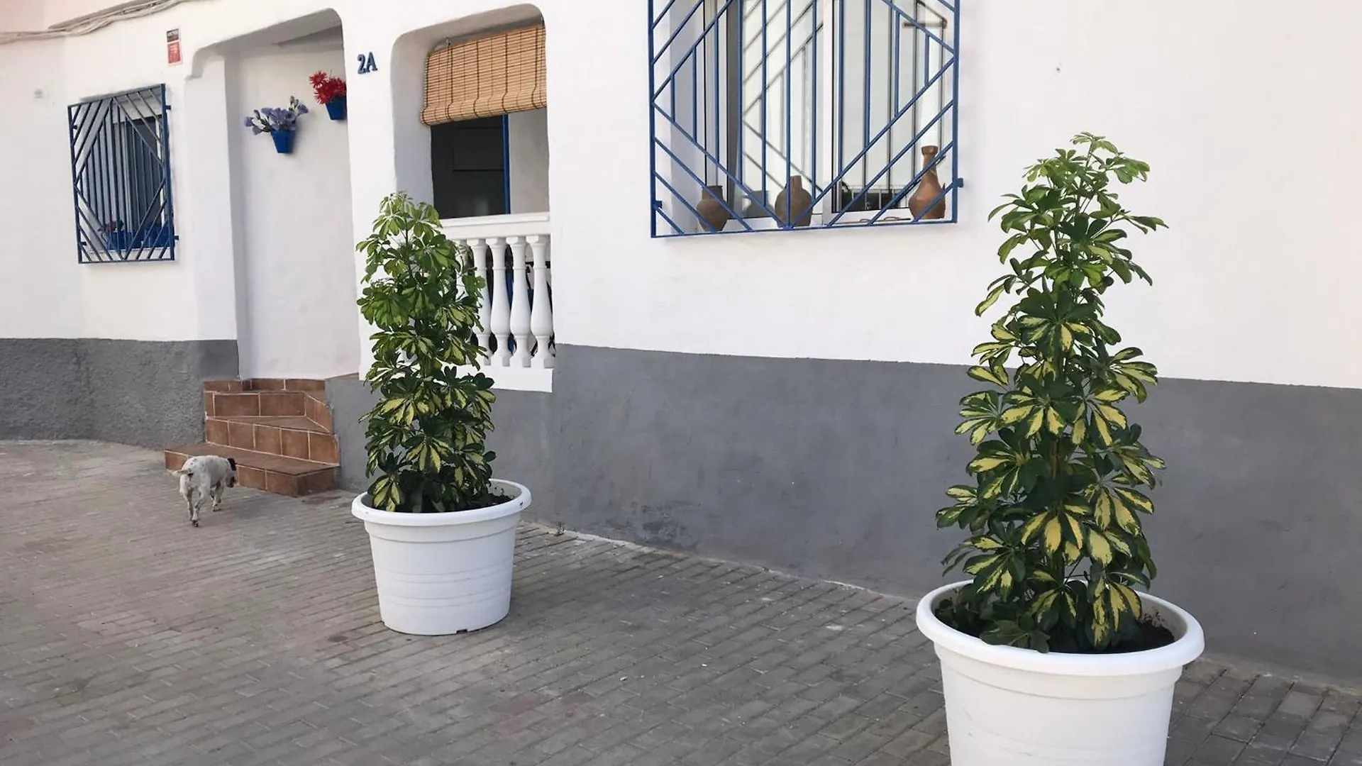 Salobreña Apartamentos Lolitalola Holidays דירה